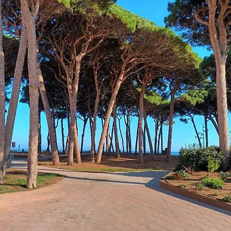 Apartamento Completo Delante De La Playa